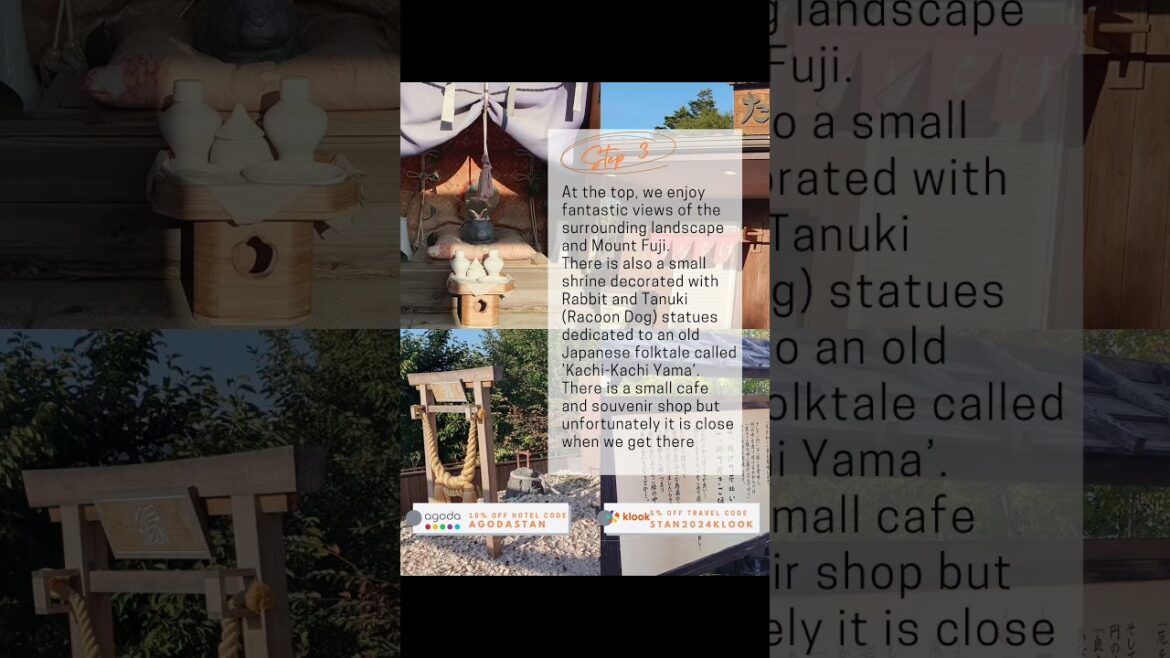 DIY Mt. Fuji Day tour from Tokyo Travel Guide