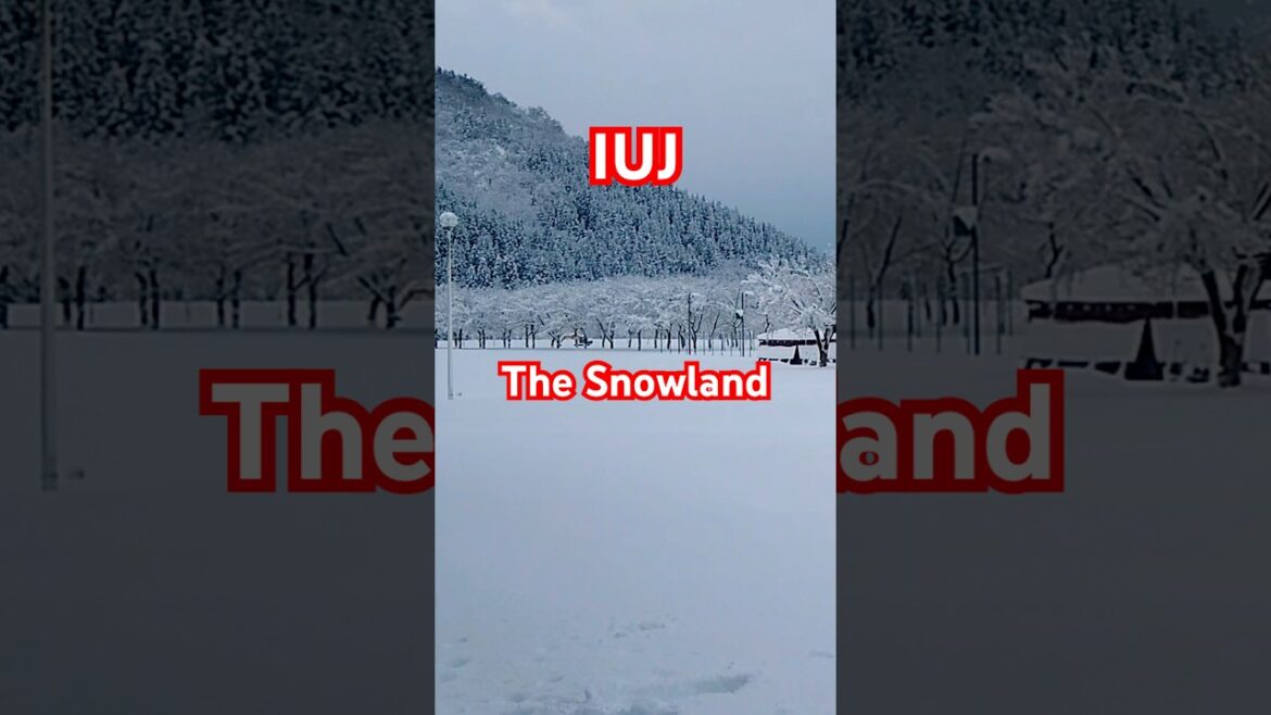IUJ Campus Snow #japan #winter #snowfall #niigata #shorts