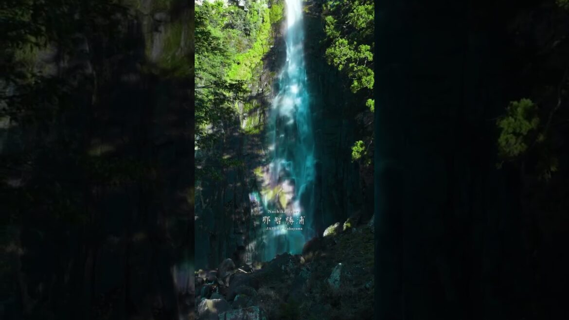 Japan’s Most SACRED Waterfall is UNREAL ๐คฏ | Nachi Falls, Wakayama ๐ฏ๐ต Japan's Most SACRED Waterfall is UNREAL ๐คฏ | Nachi Falls, Wakayama ๐ฏ๐ต