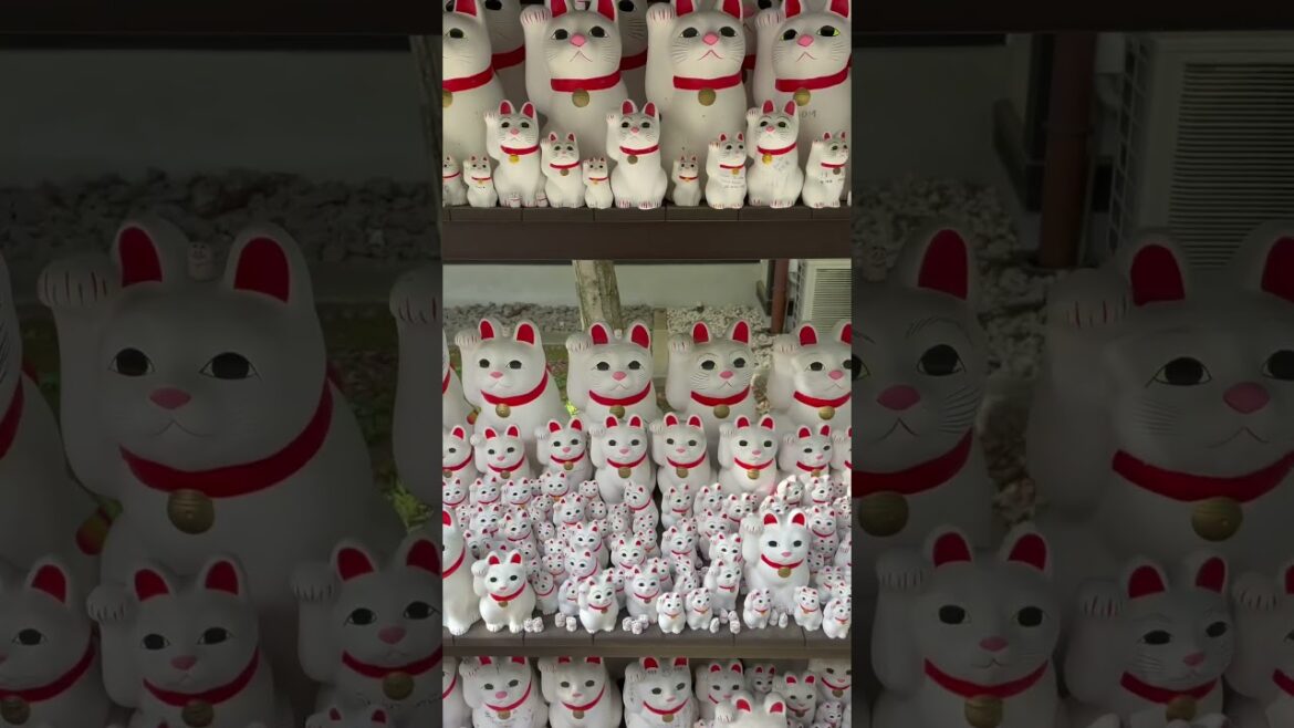 #vitaingiappone #vivereingiappone #giappone #japan #tokyo #travel #viaggioingiappone