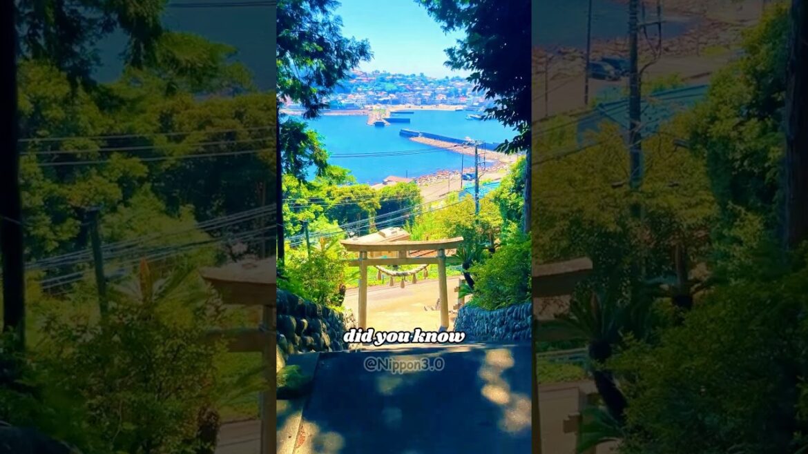 Japan’s Weirdest Islands Japan’s Weirdest Islands