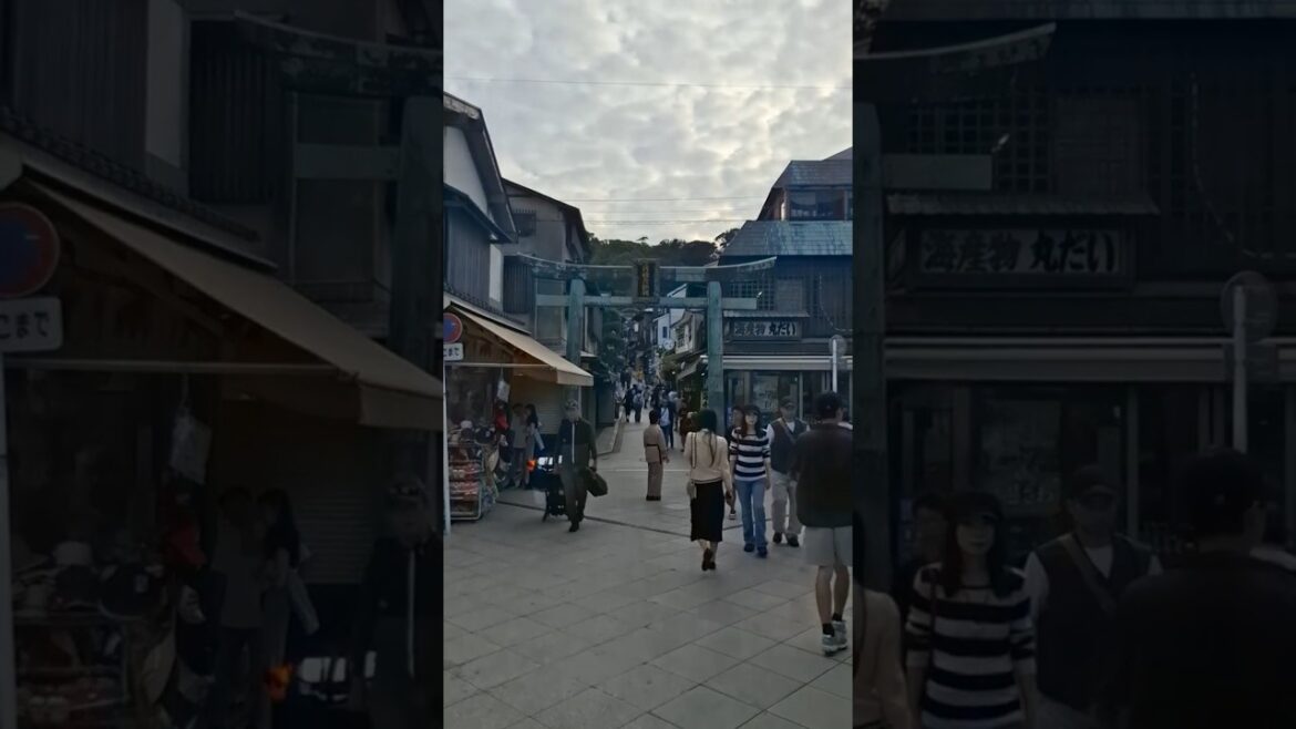 Enoshima Japan π―π΅ | Perfect Day Trip Near Tokyo! π #shorts Enoshima Japan π―π΅ | Perfect Day Trip Near Tokyo! π #shorts