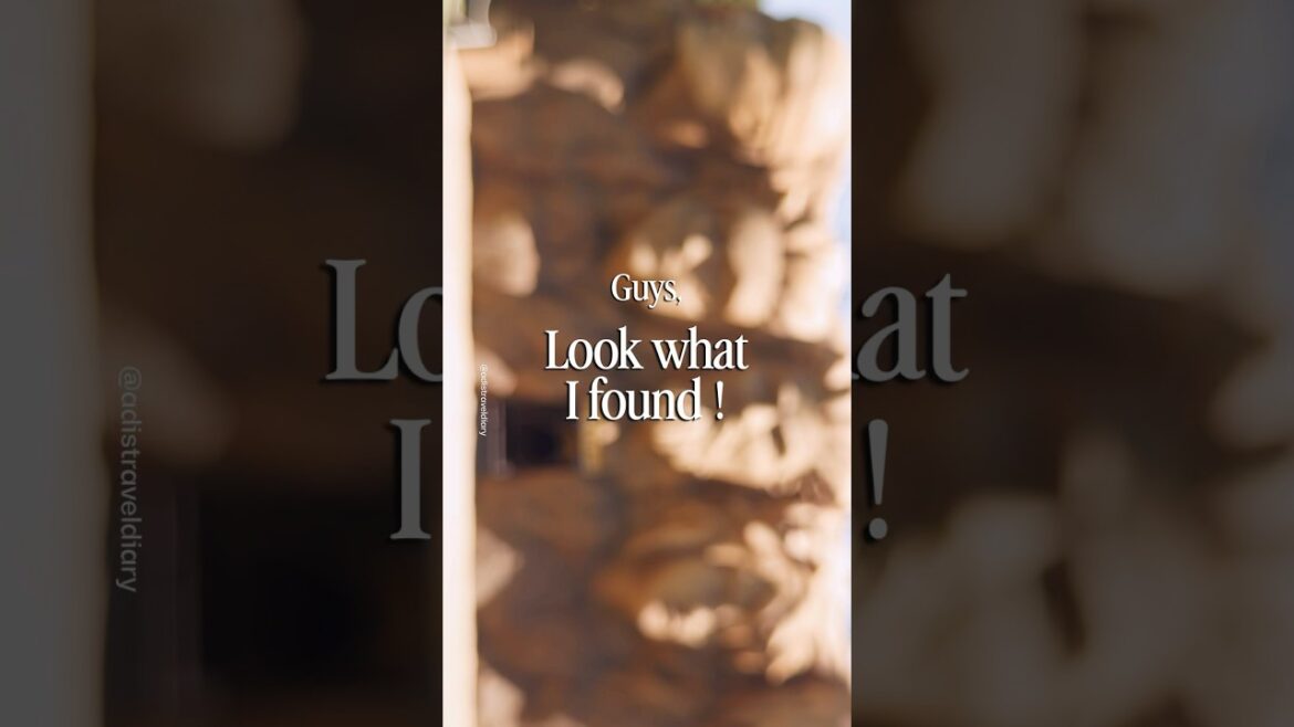 I saw Heaven of Anime Fans 😍