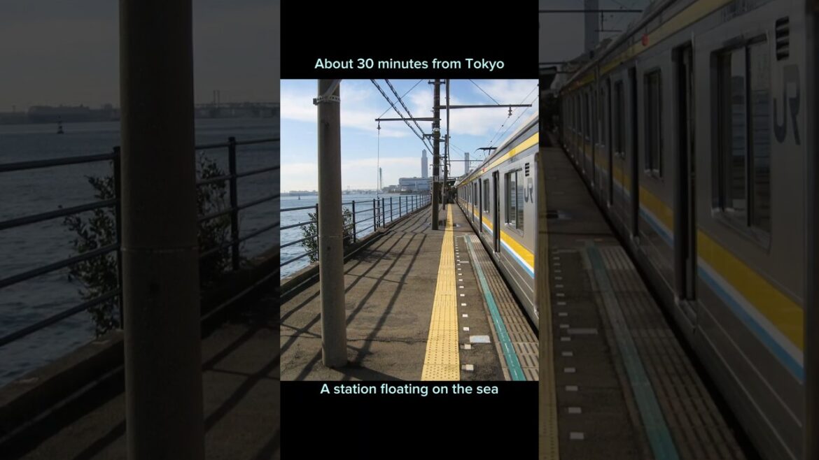 A Station Floating on the Sea Yokohama Travel Tokyo Day Trip A Station Floating on the Sea Yokohama Travel Tokyo Day Trip