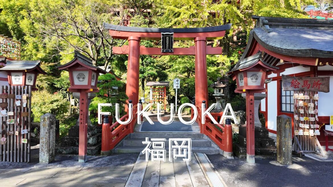 3 days in Fukuoka - Yutoku Inari Shrine, Karato Fish Market ep.4