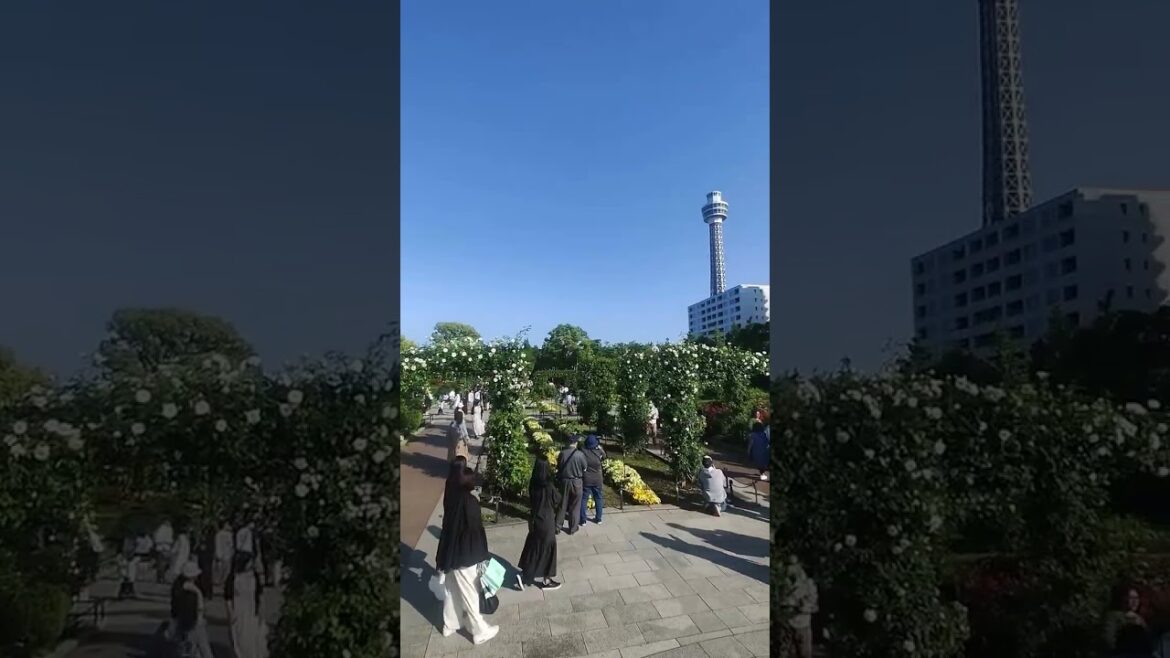 A visit to #YamashitaPark in #Yokohama earlier this #summer