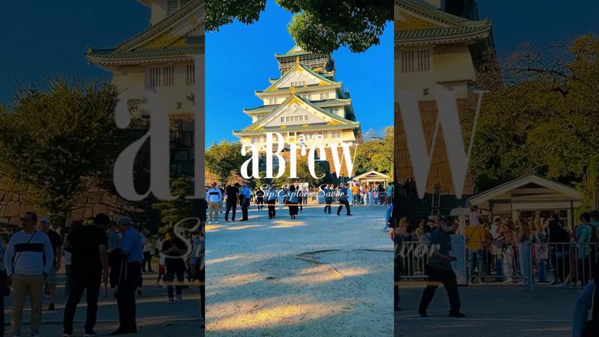 Osaka the city that feeds your heart 🍜🏮✨