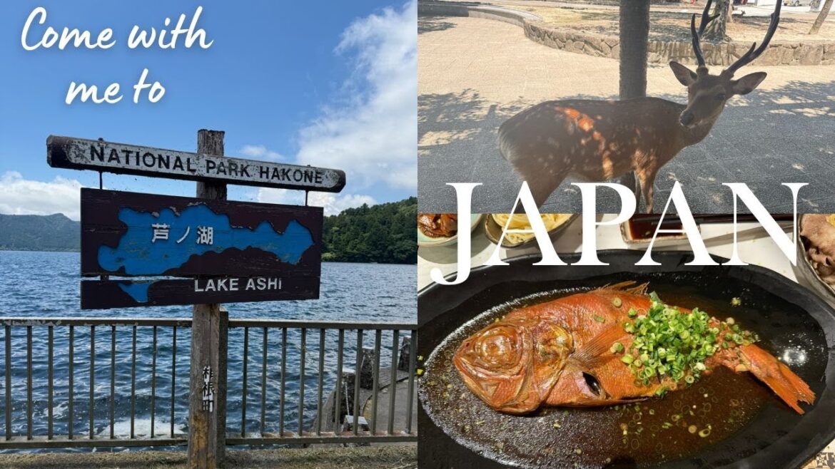 An American lost in Japan days 5 7 | Tour with the Dragon trip An American lost in Japan days 5 7 | Tour with the Dragon trip