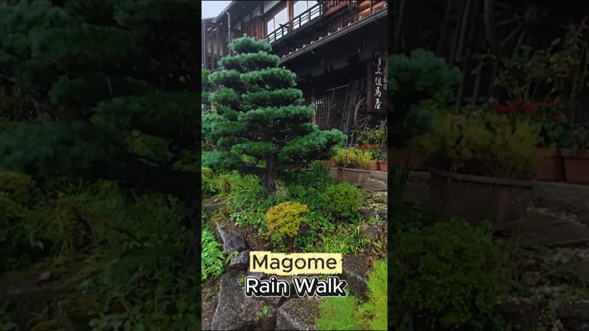 Japanese House & Garden on the Nakasendo  #japan #4kuhd #4kwalk #asmr #asmrrain #garden #asmrwalk Japanese House & Garden on the Nakasendo  #japan #4kuhd #4kwalk #asmr #asmrrain #garden #asmrwalk