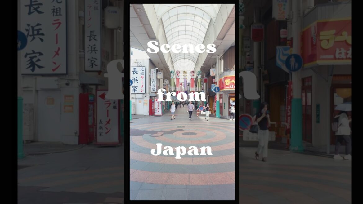 The Wonders of Travelling | Japan Scenes #travel #traveldestinations The Wonders of Travelling | Japan Scenes #travel #traveldestinations