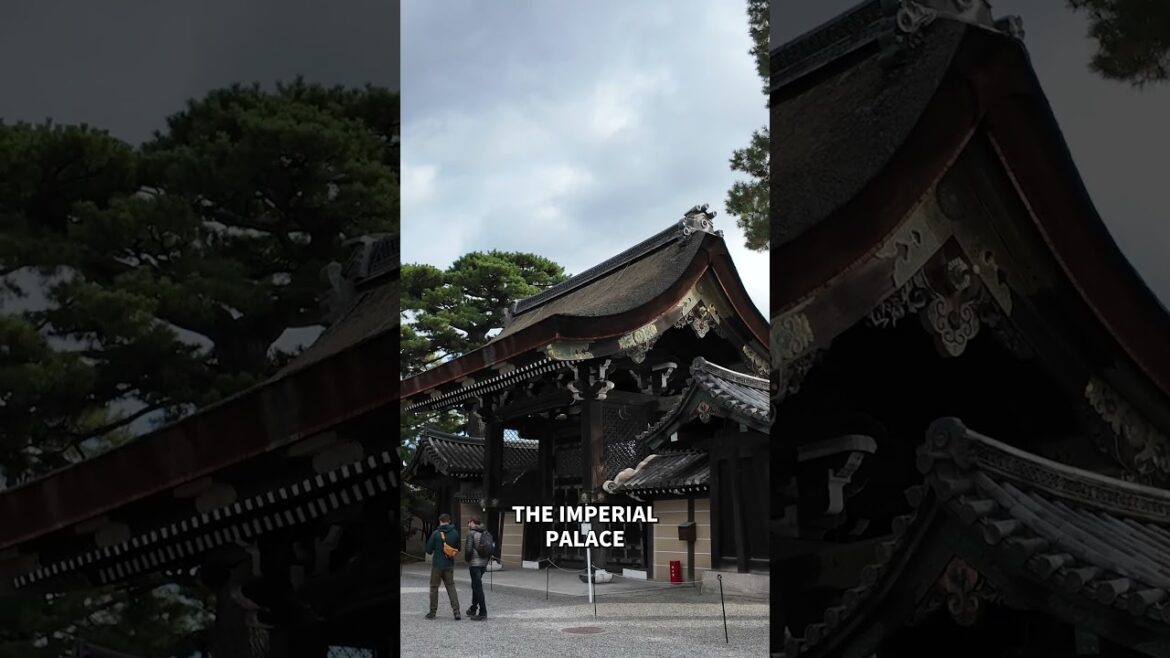 4 Surprising Reasons To Visit Kyoto Imperial Palace #kyoto #travel