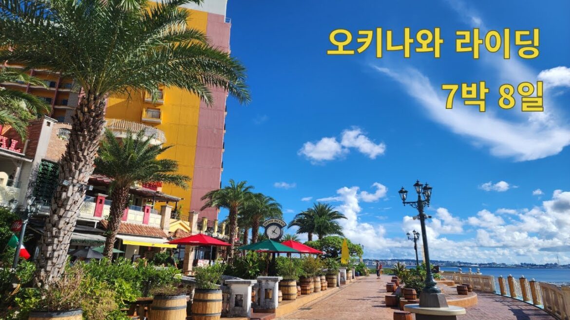 오키나와 7박 8일 라이딩