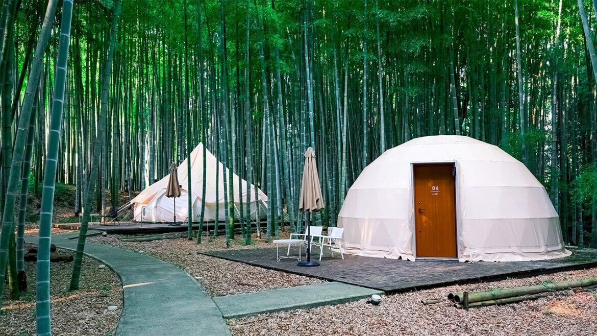Glamping in Japan with a Bamboo Grove and Free-Roaming Animals | THE BAMBOO FOREST Glamping in Japan with a Bamboo Grove and Free-Roaming Animals | THE BAMBOO FOREST