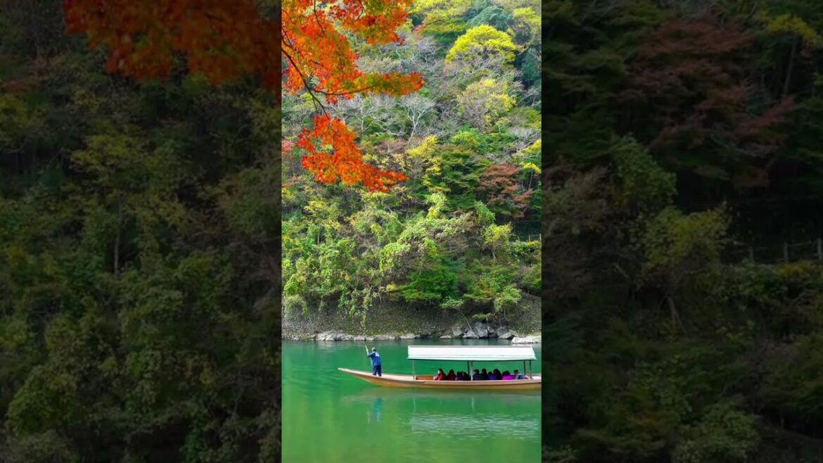 Kyoto – Explore Japan’s Cultural Heart in 4K #japan #kyoto Kyoto - Explore Japan’s Cultural Heart in 4K #japan #kyoto