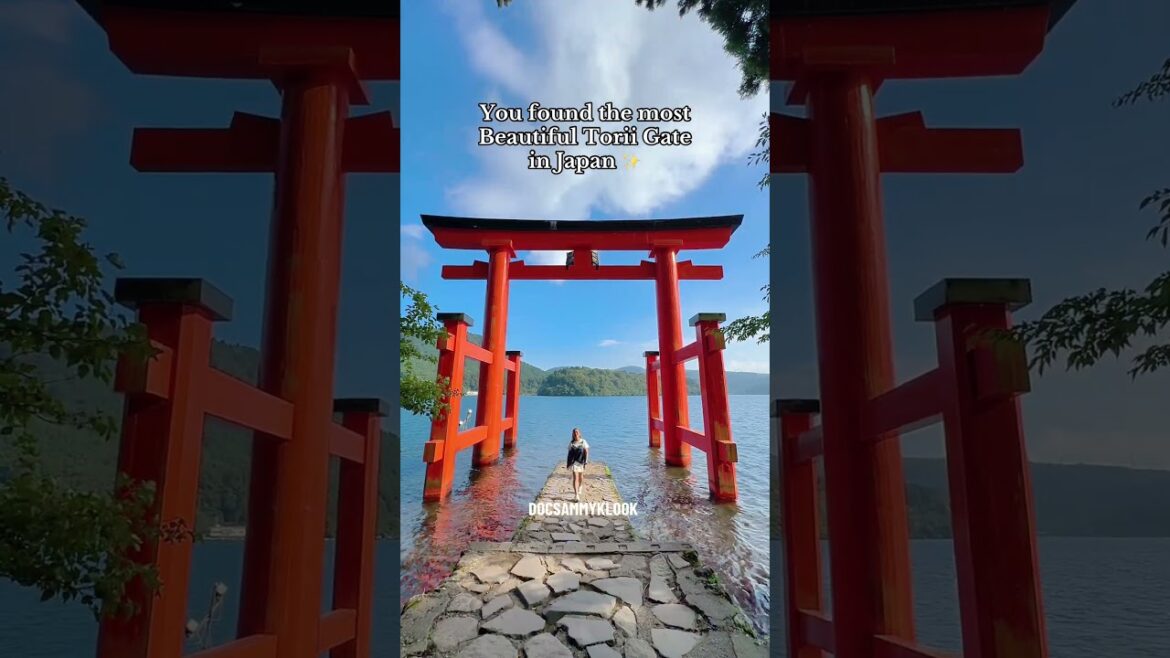 TORII GATE OF PEACE in Hakone Japan⛩️⛩️#hakoneshrine #hakone #japantravel