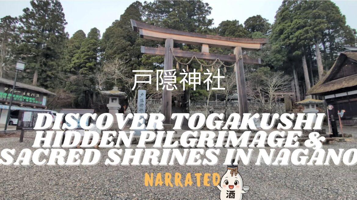 Solo Travel | Day Trip to Mountains of Nagano, Togakushi Narrated Travel Diary | Spring 2025 Japan 🌸 Solo Travel | Day Trip to Mountains of Nagano, Togakushi Narrated Travel Diary | Spring 2025 Japan 🌸