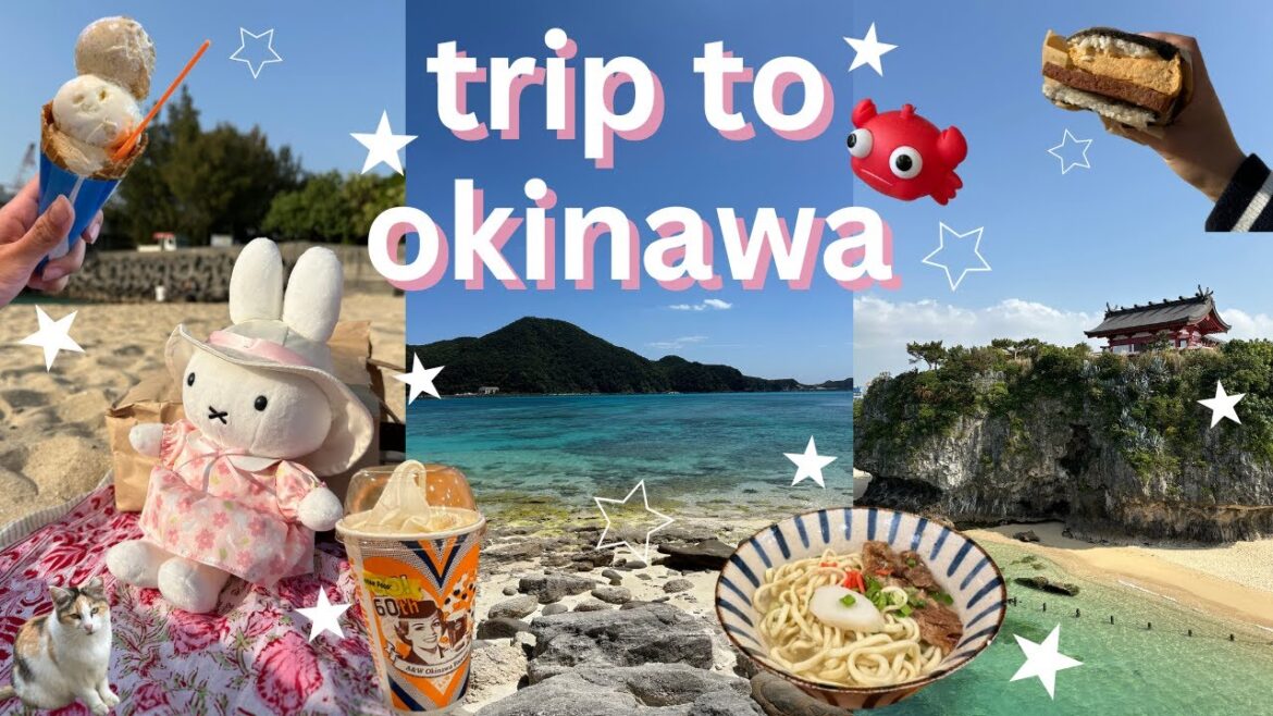 trip to okinawa: kokusai-dori street, naminoue shrine, urasoe & shuri castle, the beach | jp vlg 13 trip to okinawa: kokusai-dori street, naminoue shrine, urasoe & shuri castle, the beach | jp vlg 13
