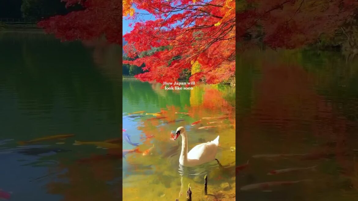 Autumn in Japan is beautiful 🍁