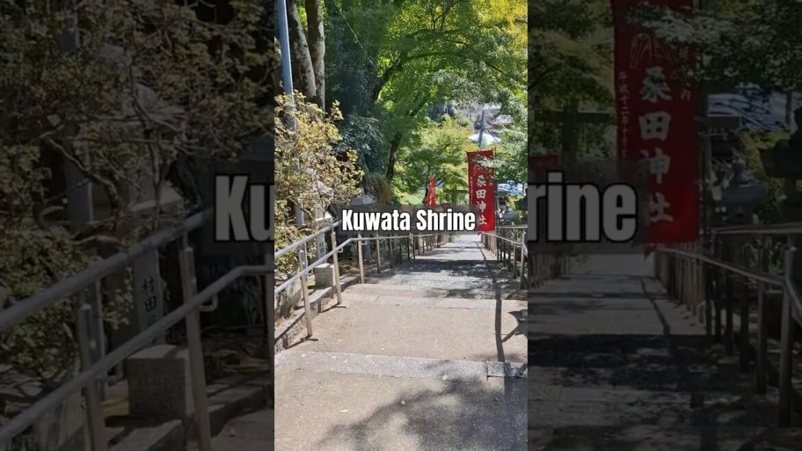 Kuwata Shrine β©οΈ Hidden Gem in Kameoka, Kyoto π―π΅ #japanshorts Kuwata Shrine β©οΈ Hidden Gem in Kameoka, Kyoto π―π΅ #japanshorts