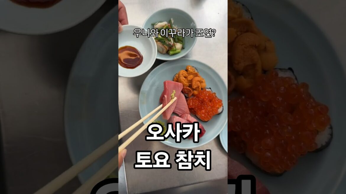 오사카 참치 맛집 토요 참치 #세계여행 #travel #40대부부 #오사카 #토요참치