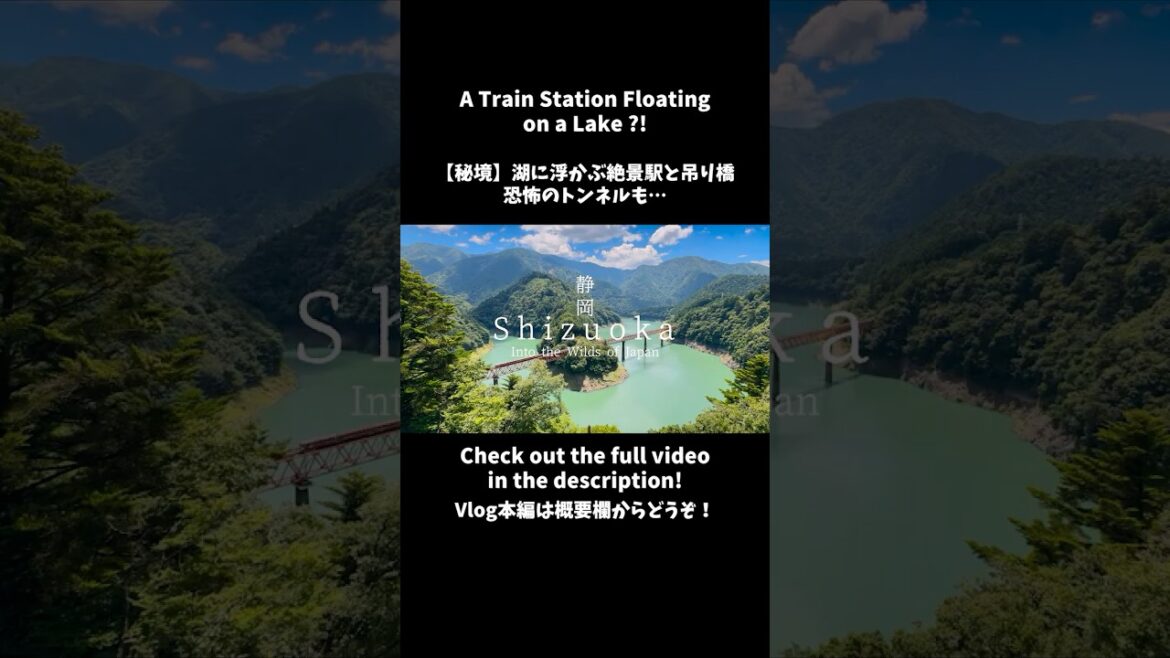 The Most Scenic Train Station in Japan🌊🚃 #shorts #japan #shizuoka