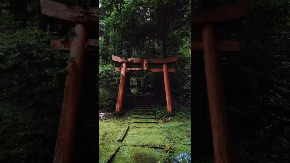 Why You Need To Visit Japan (and the signs that you should) Why You Need To Visit Japan (and the signs that you should)