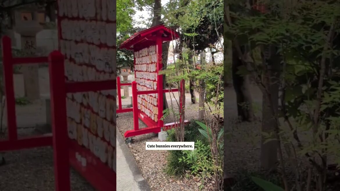 The cutest shrine in Japan 🐇