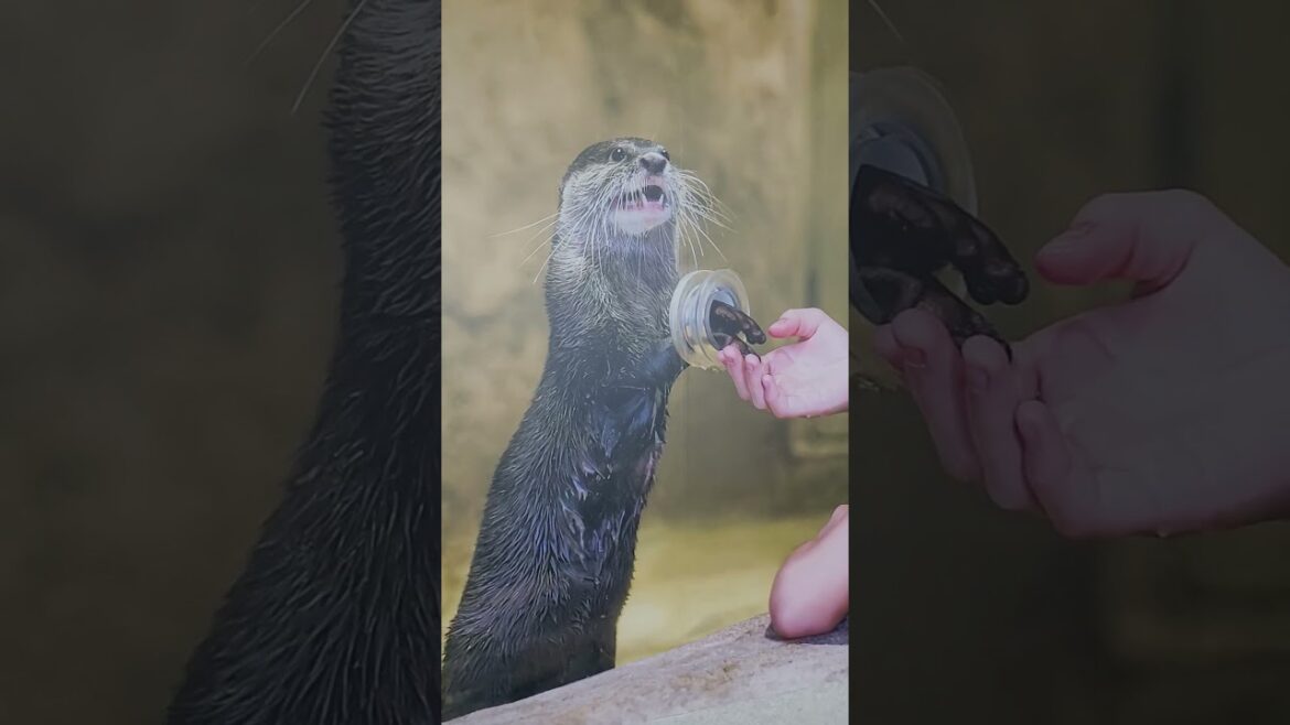 Naha Airport in Okinawa