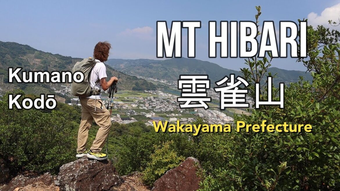 Wild Wednesdays on the Kumano Kodo:  Mt Hibari | 雲雀山 和歌山県 Wild Wednesdays on the Kumano Kodo:  Mt Hibari | 雲雀山 和歌山県