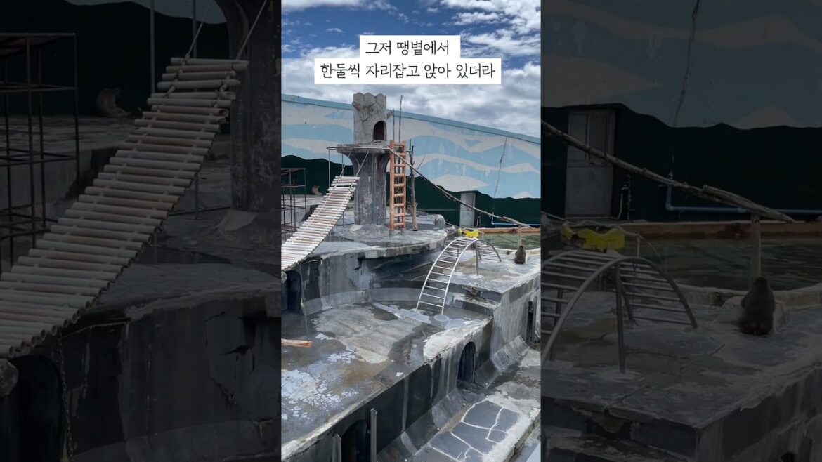 여름엔 원숭이도 온천 대신 그늘을 찾는다｜하코다테 열대식물원