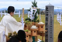 Harvested rice stalks are offered to the Hokkaido Shrine deities during the 