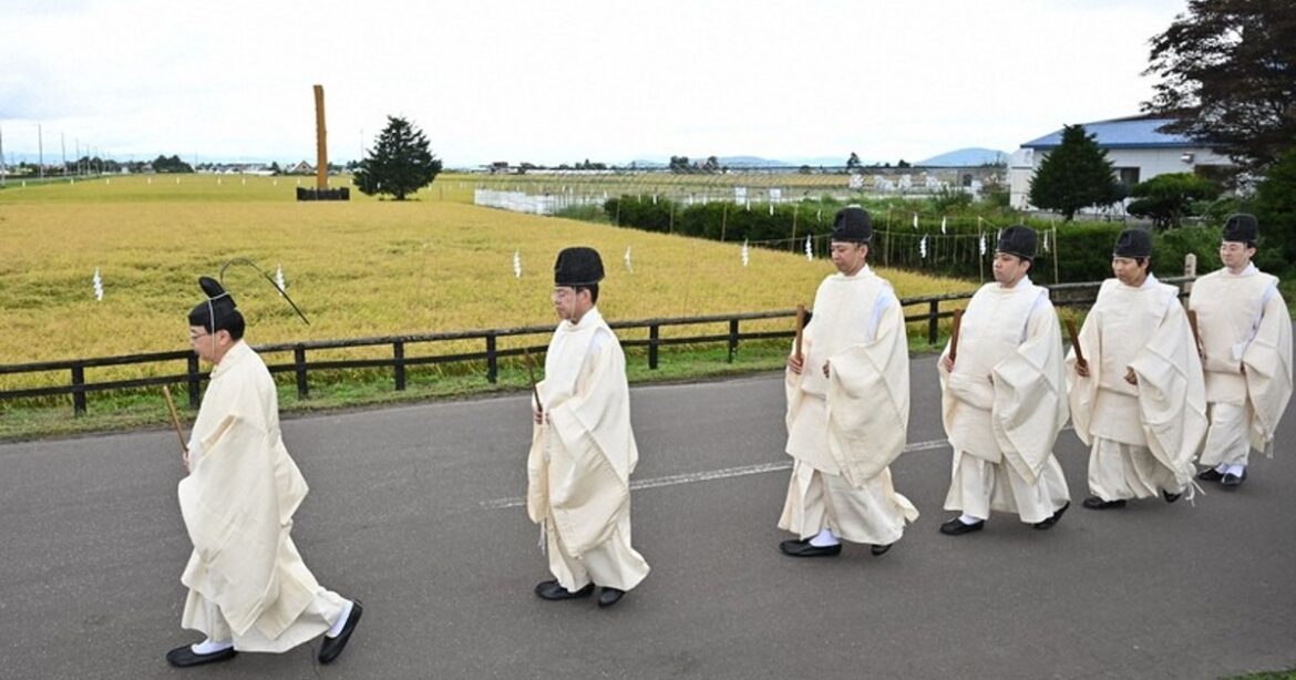Photo Special: Rice-harvesting Shinto festival held in Hokkaido town