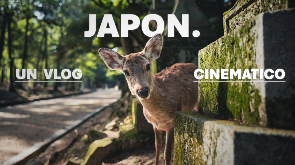 OSAKA & NARA | Exploring Japan Cinematic Series OSAKA & NARA | Exploring Japan Cinematic Series