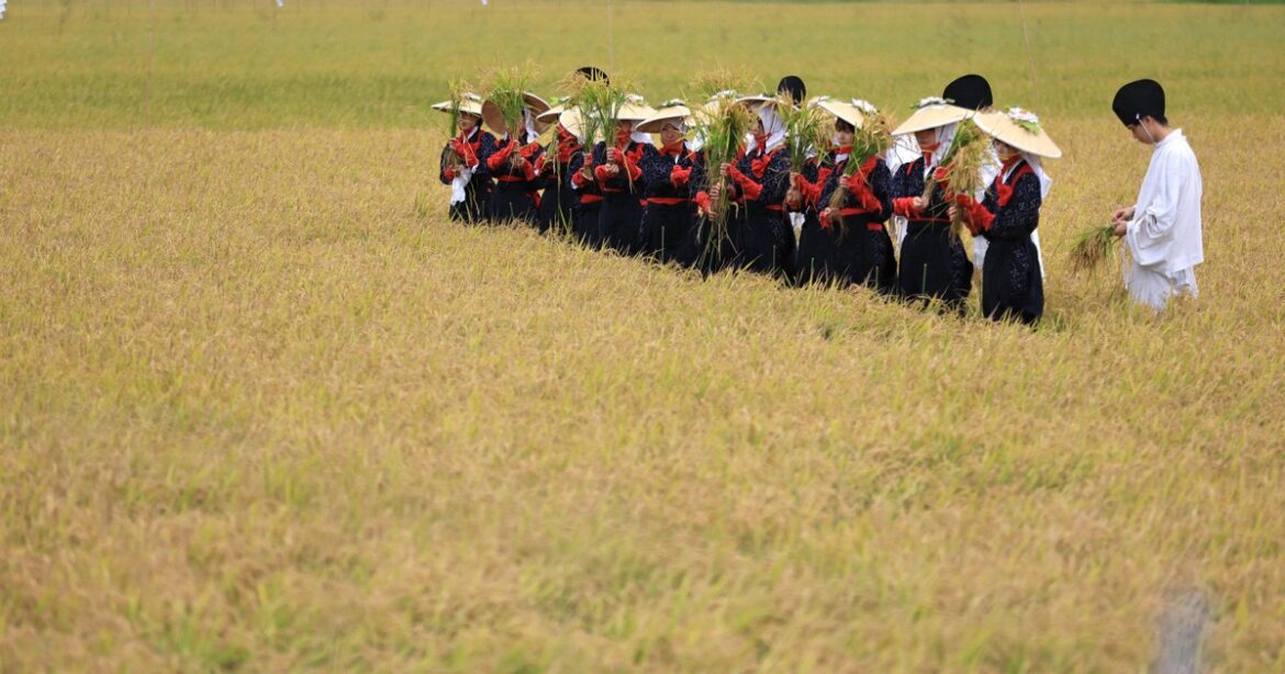 Hokkaido town celebrates rice harvest with traditional festival