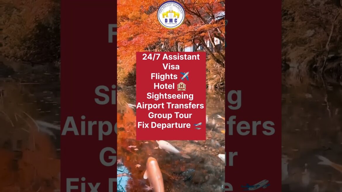 ๐ โJapan 2025 with The Titanic Holidays -DMC | Tokyo โจ Kyoto ๐ Osaka ๐ฃโ#yt #ytshorts ๐ โJapan 2025 with The Titanic Holidays -DMC | Tokyo โจ Kyoto ๐ Osaka ๐ฃโ#yt #ytshorts
