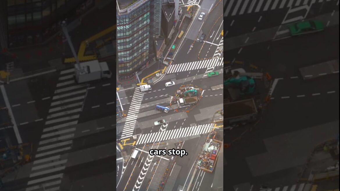 Tokyo Travel Guide 2025 | Shibuya, Akihabara & Hidden Gems Tokyo Travel Guide 2025 | Shibuya, Akihabara & Hidden Gems