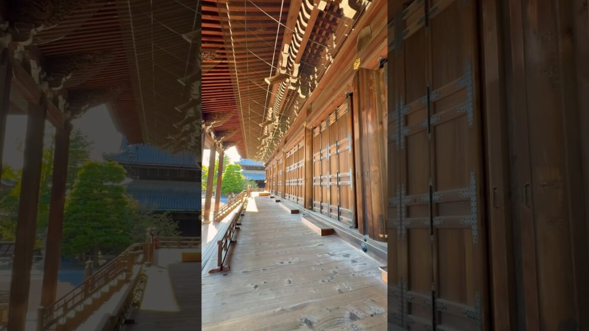 知恩院 Chion-in Temple, Kyoto