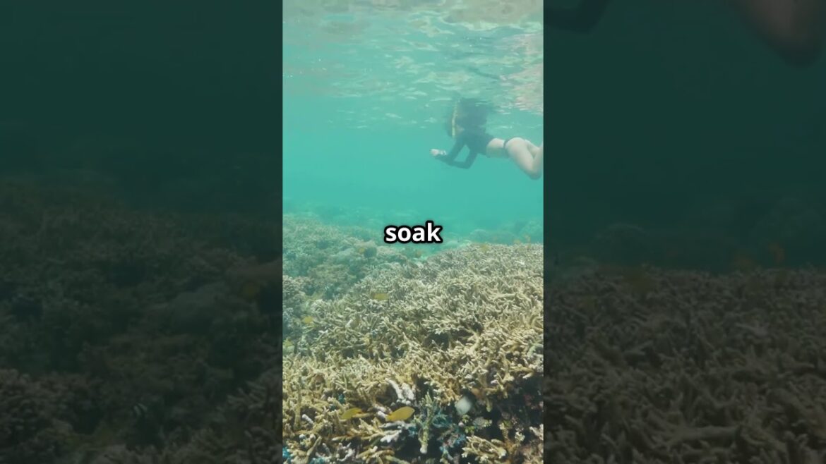 Discover Japan’s Hidden Gems! #shorts #shortsfeed #travel #japan Discover Japan's Hidden Gems! #shorts #shortsfeed #travel #japan