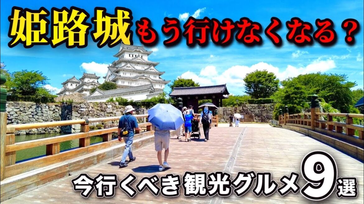 今行くべき兵庫・姫路グルメ観光9選【姫路城|激安動物園|名物料理】