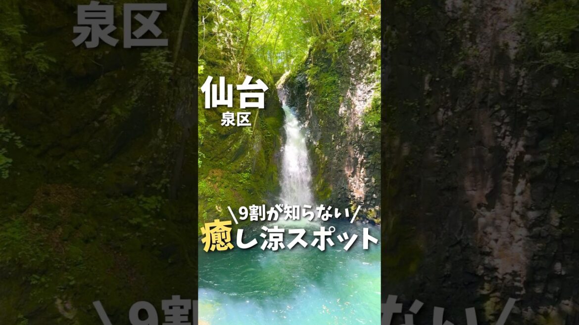 【仙台観光】ここ知ってる？9割が知らない涼スポット💧#仙台観光 #宮城観光 #仙台旅行 #宮城旅行 #滝 #Japan #日本  #japantravel #japanvlog #shorts