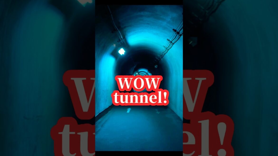 Wow tunnel #japantravel #visitjapan #tunnel #teamlab