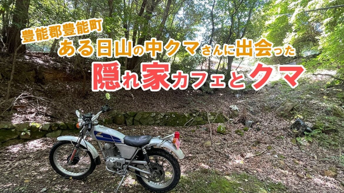 【隠れ家的カフェとクマ】ある日山の中クマさんに出会った【大阪府豊能郡豊能町】 【隠れ家的カフェとクマ】ある日山の中クマさんに出会った【大阪府豊能郡豊能町】