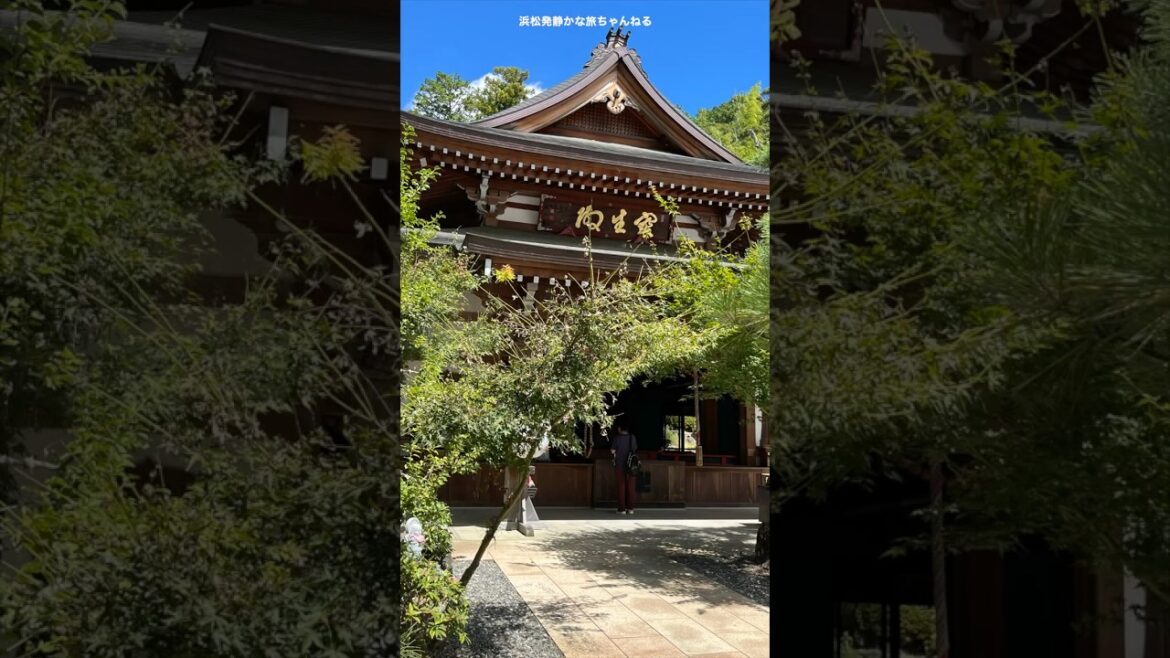 #袋井  #油山寺 #ドライブ#automobile #みたらし団子#新鮮市月見の里ひろば #藤花堂 #袋井  #油山寺 #ドライブ#automobile #みたらし団子#新鮮市月見の里ひろば #藤花堂