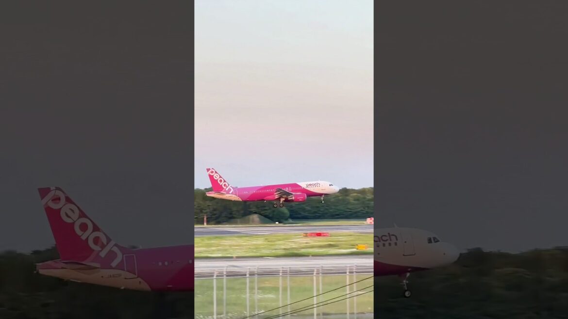 A pink sprite! Peach Air landing. #sapporo #tokyo #aviation #travel