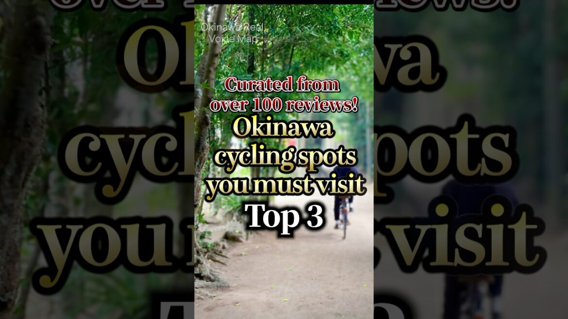 Curated from over 100 reviews!Okinawa cycling spots you must visitTop 3 Curated from over 100 reviews!Okinawa cycling spots you must visitTop 3