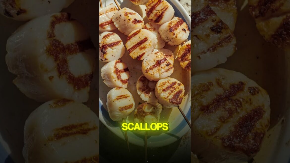 Osaka Day Trip Adventure You Can’t Miss! Osaka Day Trip Adventure You Can't Miss!