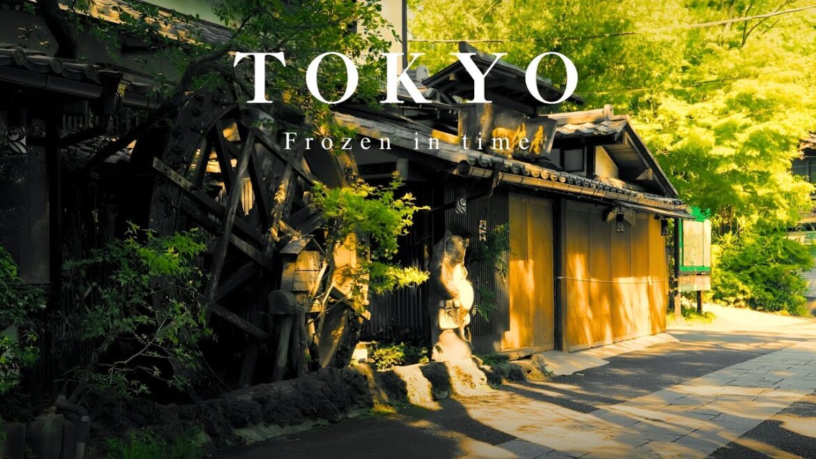 Day Trip to Rural Tokyo, 40 minutes from  Shinjuku☘️ │ Chofu │Jindaiji Temple │Gegege no Kitaro│Vlog Day Trip to Rural Tokyo, 40 minutes from  Shinjuku☘️ │ Chofu │Jindaiji Temple │Gegege no Kitaro│Vlog