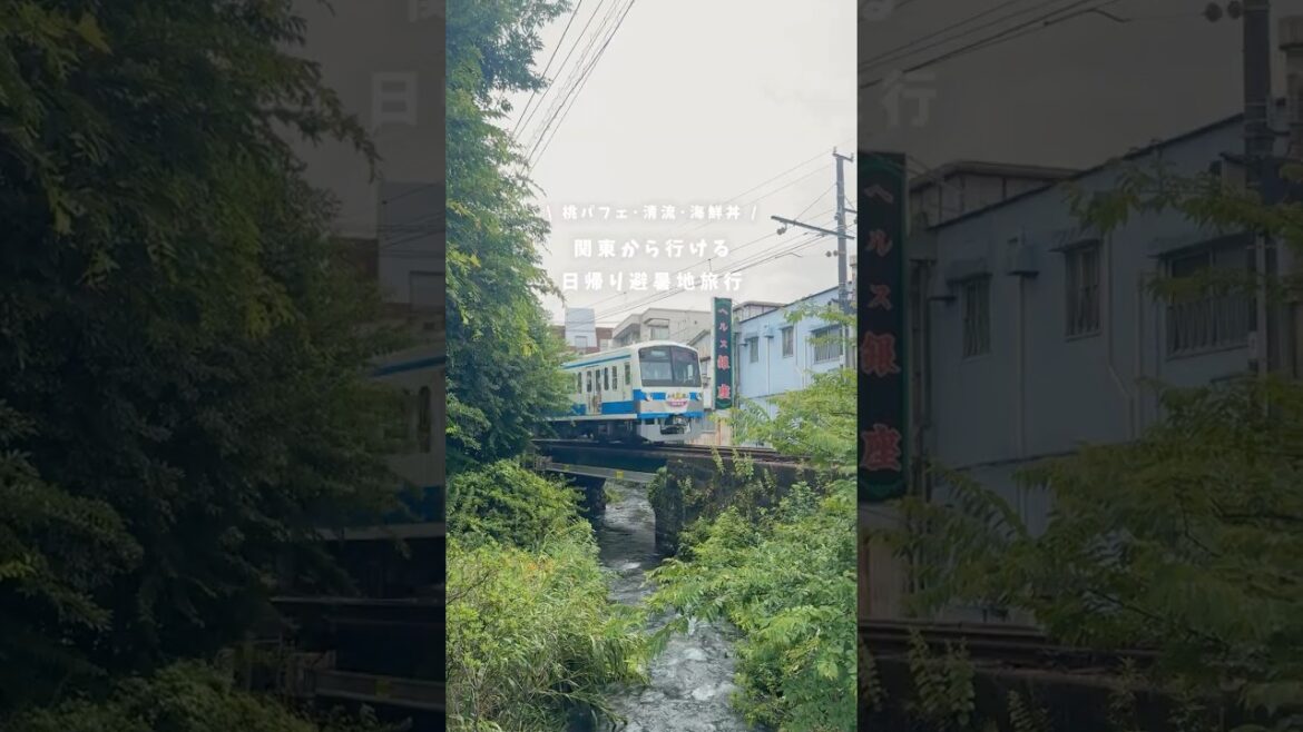 【静岡】関東から行ける日帰り避暑地旅🍑✨ 【静岡】関東から行ける日帰り避暑地旅🍑✨