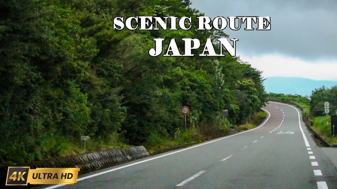 Driving Through Japan’s Atami Skyline | Foggy Scenic Road Trip 4K 🚗 Driving Through Japan’s Atami Skyline | Foggy Scenic Road Trip 4K 🚗