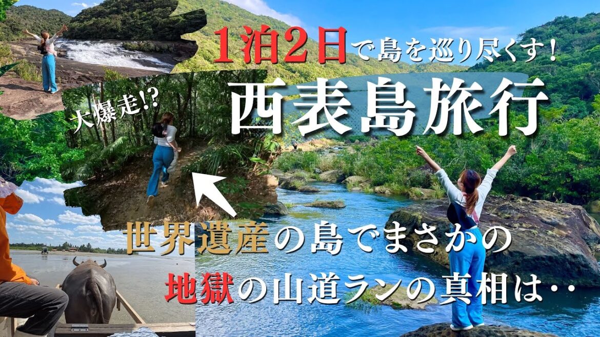 【衝撃】山奥に取り残される⁉︎世界自然遺産に登録された沖縄の島へ1泊2日で旅しに行ったら人生最高の旅になった！《#沖縄#沖縄旅行#旅行#西表島#石垣島#Okinawa#Trip#Travel》